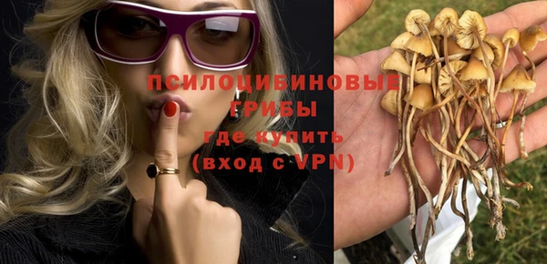 прущие крисы Белокуриха