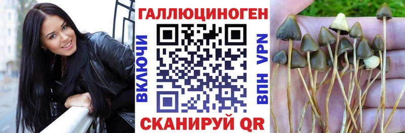 blacksprut ССЫЛКА  даркнет сайт  Вытегра  Псилоцибиновые грибы прущие грибы 